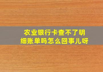 农业银行卡查不了明细账单吗怎么回事儿呀