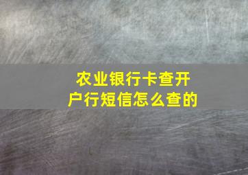 农业银行卡查开户行短信怎么查的