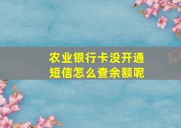 农业银行卡没开通短信怎么查余额呢