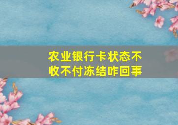 农业银行卡状态不收不付冻结咋回事