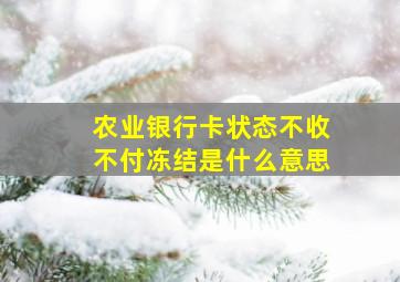 农业银行卡状态不收不付冻结是什么意思