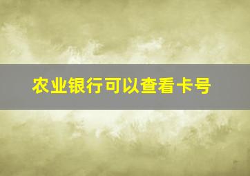 农业银行可以查看卡号