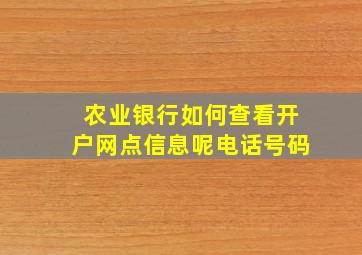 农业银行如何查看开户网点信息呢电话号码