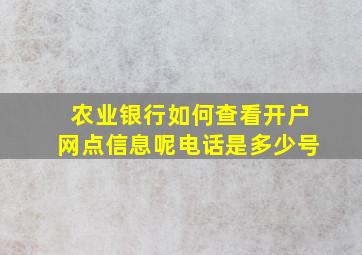 农业银行如何查看开户网点信息呢电话是多少号