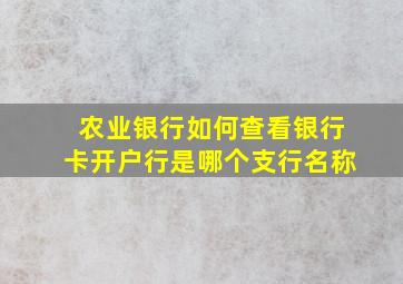 农业银行如何查看银行卡开户行是哪个支行名称