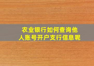 农业银行如何查询他人账号开户支行信息呢