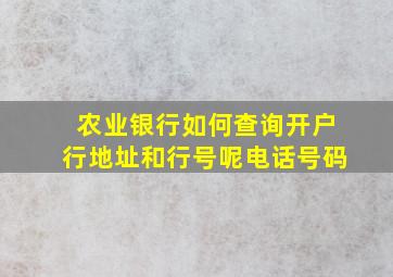 农业银行如何查询开户行地址和行号呢电话号码