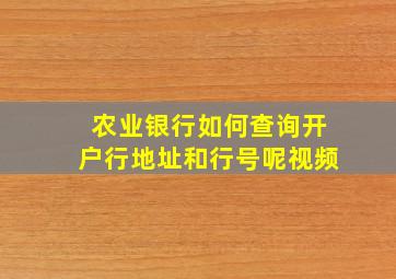 农业银行如何查询开户行地址和行号呢视频