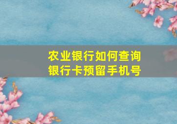 农业银行如何查询银行卡预留手机号