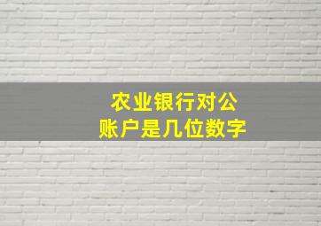 农业银行对公账户是几位数字