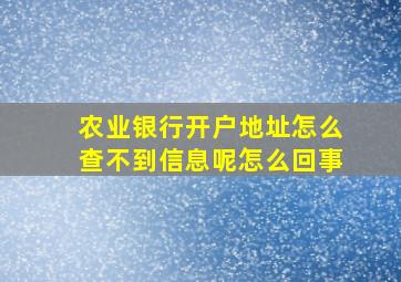 农业银行开户地址怎么查不到信息呢怎么回事