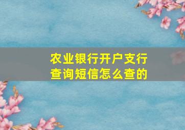 农业银行开户支行查询短信怎么查的