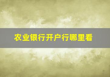 农业银行开户行哪里看