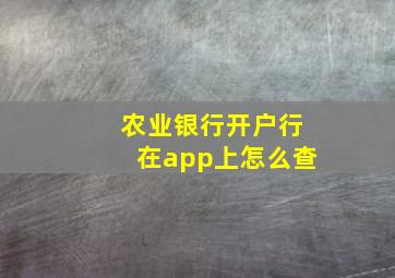 农业银行开户行在app上怎么查