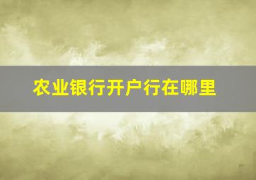 农业银行开户行在哪里