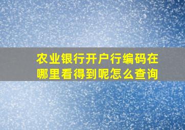 农业银行开户行编码在哪里看得到呢怎么查询