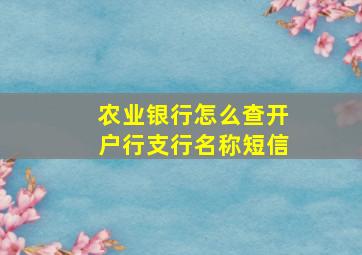 农业银行怎么查开户行支行名称短信