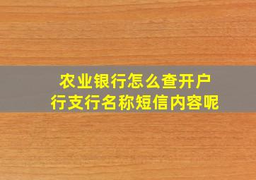 农业银行怎么查开户行支行名称短信内容呢