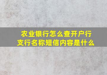 农业银行怎么查开户行支行名称短信内容是什么