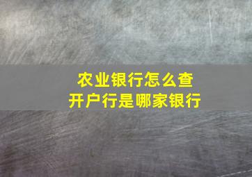 农业银行怎么查开户行是哪家银行