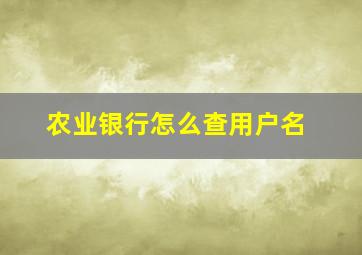 农业银行怎么查用户名