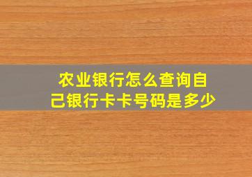 农业银行怎么查询自己银行卡卡号码是多少