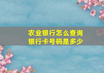 农业银行怎么查询银行卡号码是多少