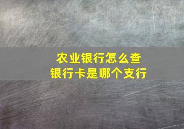 农业银行怎么查银行卡是哪个支行