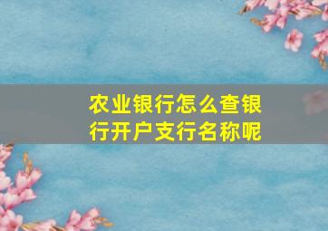 农业银行怎么查银行开户支行名称呢