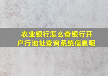 农业银行怎么查银行开户行地址查询系统信息呢