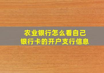 农业银行怎么看自己银行卡的开户支行信息