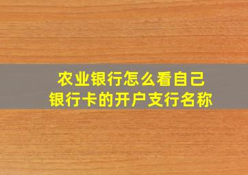 农业银行怎么看自己银行卡的开户支行名称