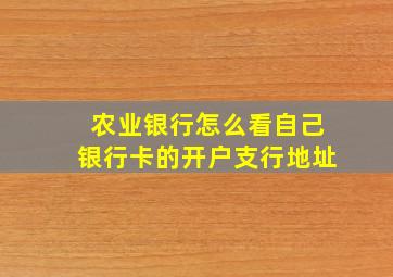 农业银行怎么看自己银行卡的开户支行地址