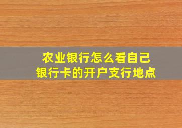 农业银行怎么看自己银行卡的开户支行地点