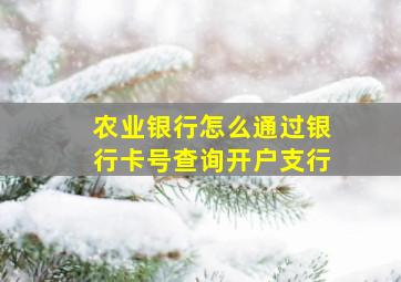 农业银行怎么通过银行卡号查询开户支行