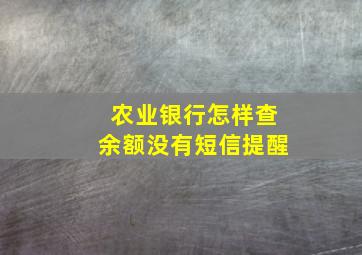 农业银行怎样查余额没有短信提醒