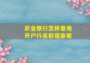 农业银行怎样查询开户行名称信息呢