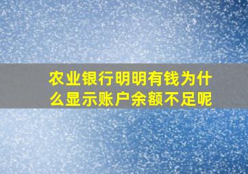 农业银行明明有钱为什么显示账户余额不足呢