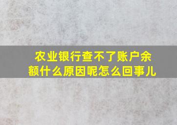 农业银行查不了账户余额什么原因呢怎么回事儿