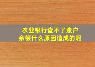 农业银行查不了账户余额什么原因造成的呢