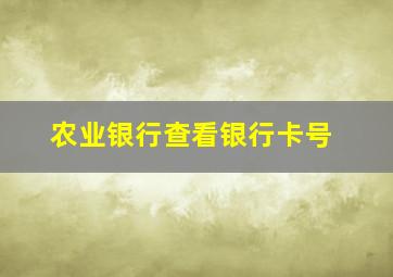 农业银行查看银行卡号