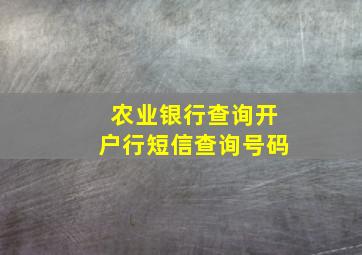 农业银行查询开户行短信查询号码