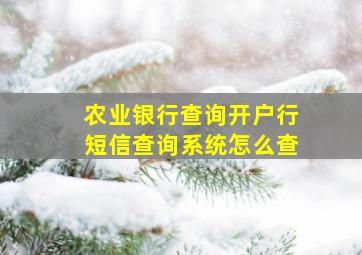 农业银行查询开户行短信查询系统怎么查