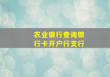 农业银行查询银行卡开户行支行