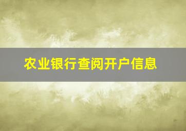 农业银行查阅开户信息