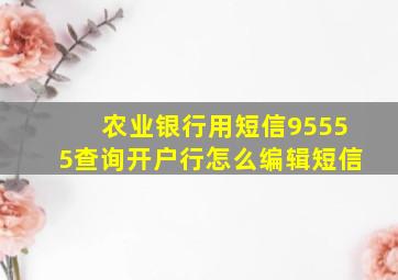 农业银行用短信95555查询开户行怎么编辑短信