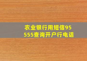 农业银行用短信95555查询开户行电话