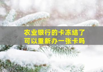 农业银行的卡冻结了可以重新办一张卡吗