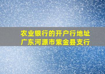 农业银行的开户行地址广东河源市紫金县支行