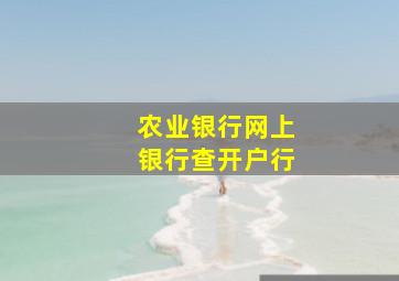 农业银行网上银行查开户行